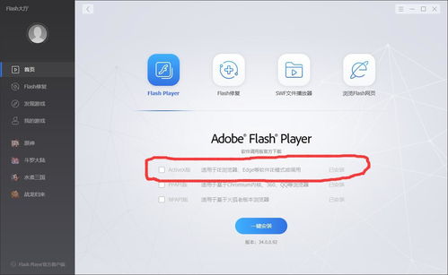 flash电脑版下载,flash电脑版下载 安装包