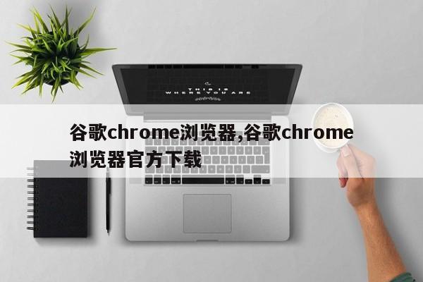谷歌chrome浏览器,谷歌chrome浏览器官方下载