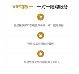 vip房产账号怎么打造