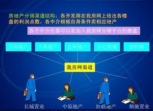 房产分销怎么做大