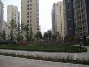 天佑房产集团怎么样