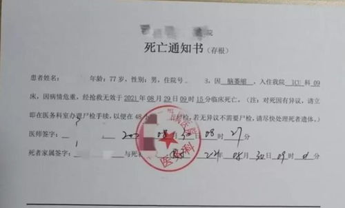 房产过户怎么查户主