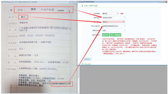 房产资料怎么填写图片