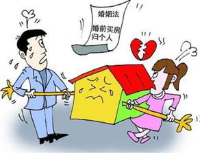 离婚房产分割怎么判刑
