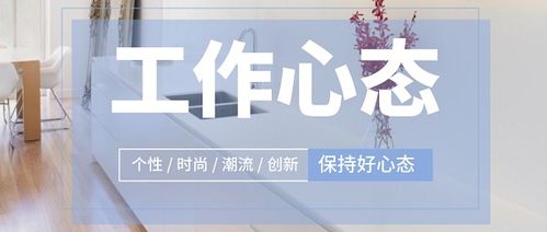 新手怎么应聘房产中介