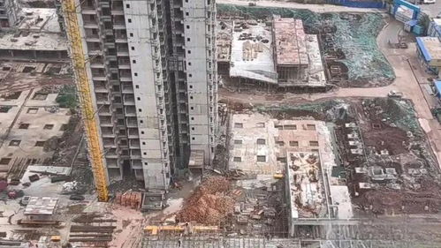 南充的房产怎么查询