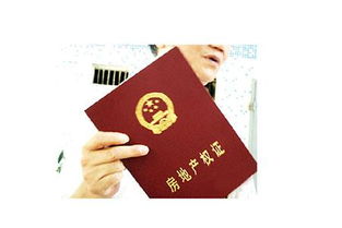 房产共有人说明怎么写