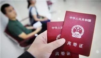 离婚诉讼房产价值怎么写