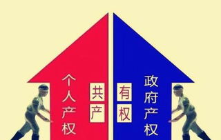 怎么拍卖房产权