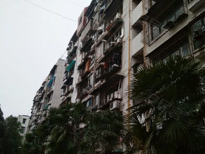 东湖房产怎么分红的
