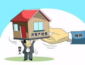 房产共有人怎么买房