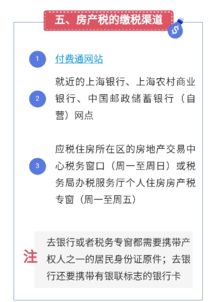 房产税怎么提交