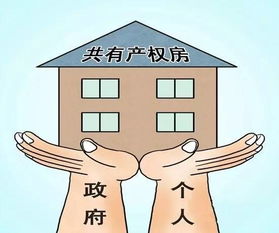 房产权怎么确定份额