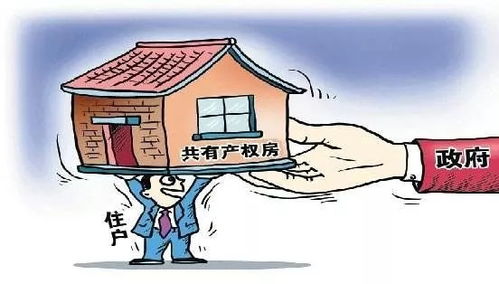 房产权怎么确定份额