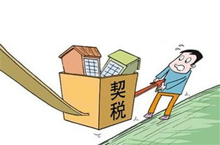 房产契税怎么按面积收取