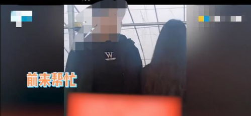 房产视频真人怎么拍高清