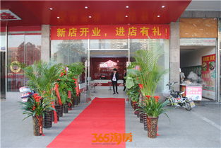 房产开分公司怎么开