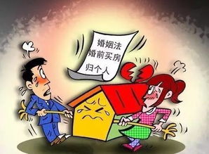 房产运营情况怎么写