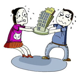 析产房产怎么分配