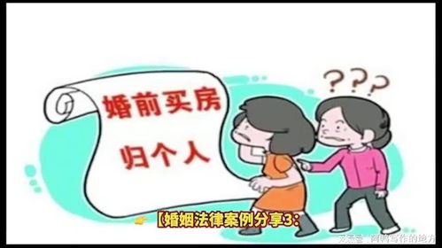 没离婚房产怎么分