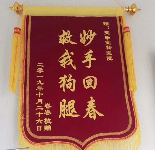 送房产锦旗视频怎么写