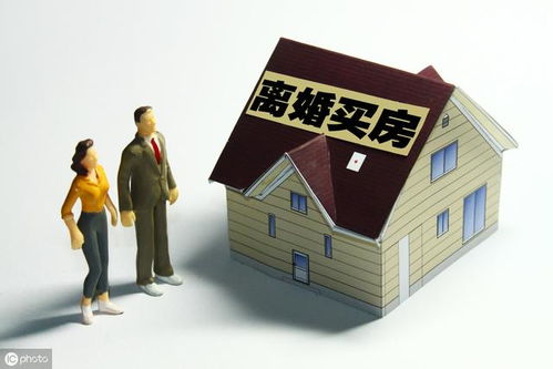 夫妻房产比例怎么查看