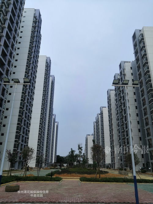 柳州房产怎么转让信息