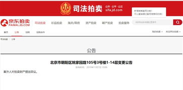 法拍房产怎么提异议