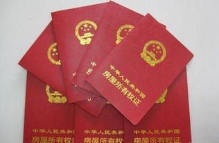房产税票怎么交费