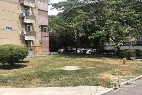 扬子房产怎么样