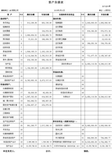 房产负债表怎么填