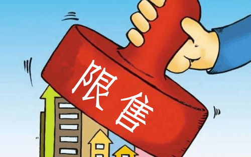 限售房产怎么处置