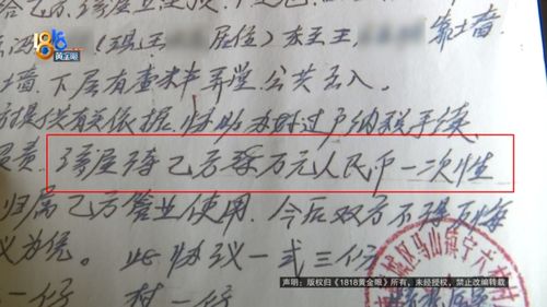 房产归谁所有怎么写