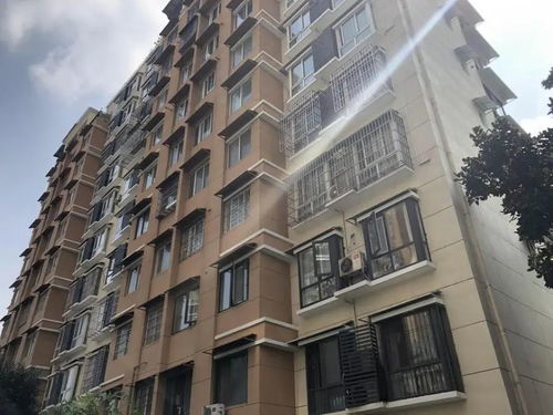 洪山房产怎么分房