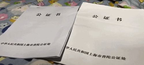 赠与房产怎么写遗嘱
