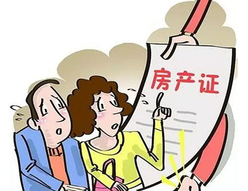 共同购房产怎么写