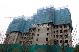 安置房产介绍怎么写好