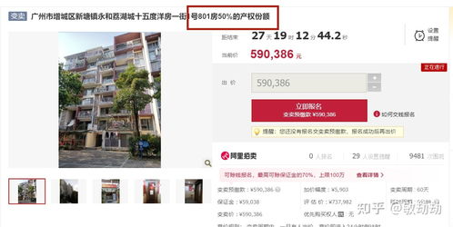 怎么查询法拍房产权