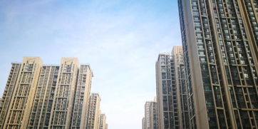 郑州阿保房产怎么样