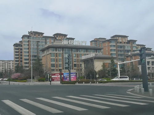 青岛查房产怎么查