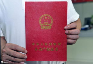 房产过户后怎么终止