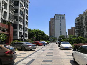城区无房产怎么上学