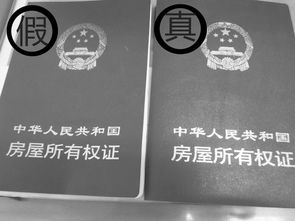 房产怎么辨别真假