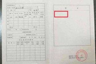 房产权怎么计算年限