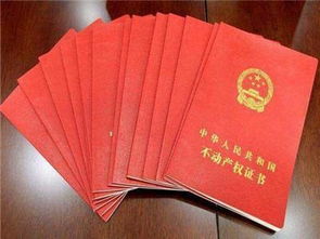 他项房产怎么执行