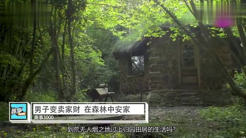 森林深处房产怎么卖掉