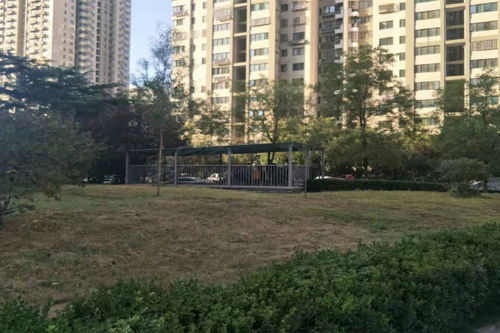 德裕房产怎么样全南