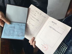 怎么查房产里的户口