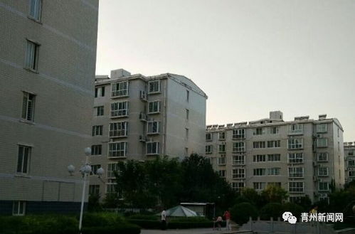 胜诉怎么拍卖对方房产