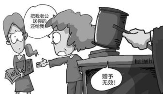 房产赠与怎么打官司